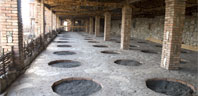 Wine Cellars in Georgia